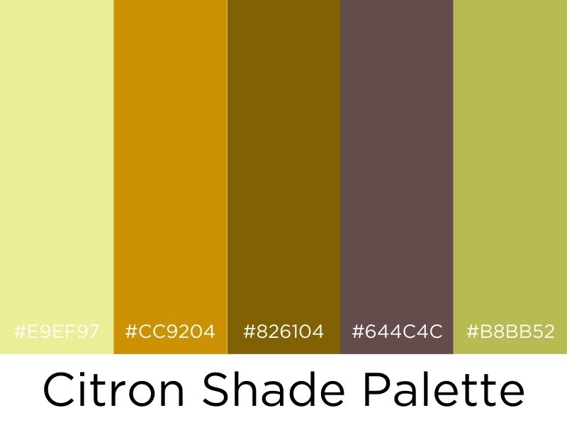 citron shade palette modern shed colors